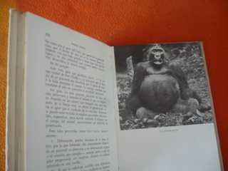 EN LA JUNGLA DE GABON CACERIAS Y AVENTURAS (WEITE)