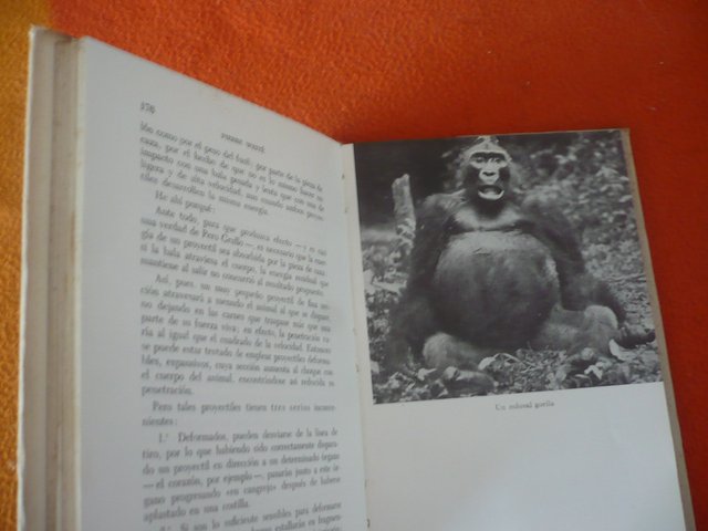 EN LA JUNGLA DE GABON CACERIAS Y AVENTURAS (WEITE)