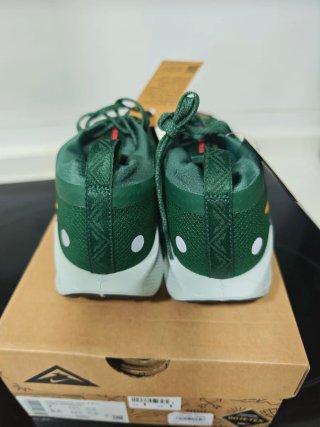 Nike Pegasus Trail 5 GTX Zapatillas Trail Running