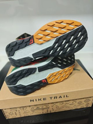 Nike Pegasus Trail 5 GTX Zapatillas Trail Running