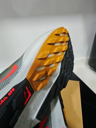 Nike Pegasus Trail 5 GTX Zapatillas Trail Running
