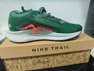 Nike Pegasus Trail 5 GTX Zapatillas Trail Running