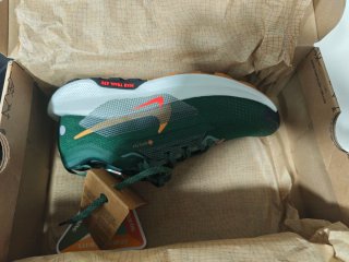 Nike Pegasus Trail 5 GTX Zapatillas Trail Running