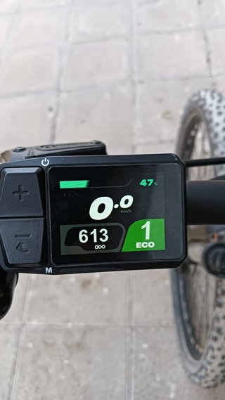 Bicicleta Eléctrica