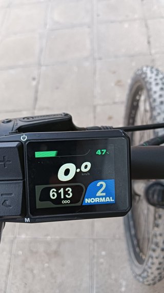 Bicicleta Eléctrica