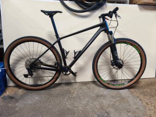 Bicicleta MTB 29 Carbono L