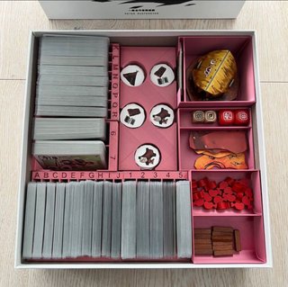 Organizador Inserto Paleo + Expansiones