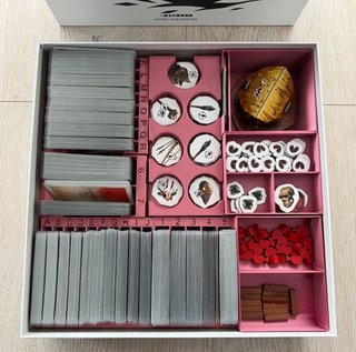 Organizador Inserto Paleo + Expansiones