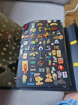 Álbum de Pins con unos  250 Pins