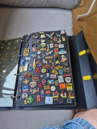 Álbum de Pins con unos  250 Pins