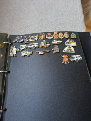 Álbum de Pins con unos  250 Pins