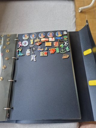 Álbum de Pins con unos  250 Pins