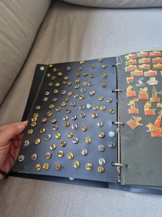 Álbum de Pins con unos  250 Pins