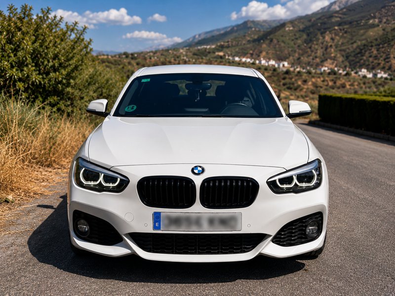 BMW Serie 1 2018