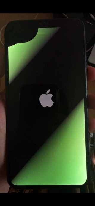 iPhone 11 Pro Max + EarPods.