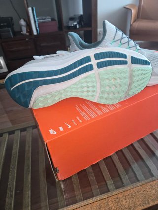 Nike Pegasus Flyease Hombre