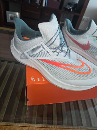 Nike Pegasus Flyease Hombre