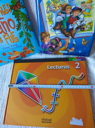 Pack 3 libros grandes de cuentos infantiles ilustr