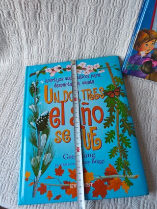 Pack 3 libros grandes de cuentos infantiles ilustr