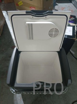 AEG Automotive Nevera termoeléctrica 12/230 V