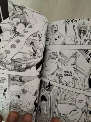 Tomos manga Fairy Tail