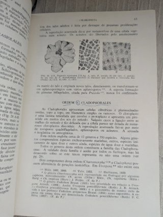 Livro Botânica Criptogâmica -Algas e fungos