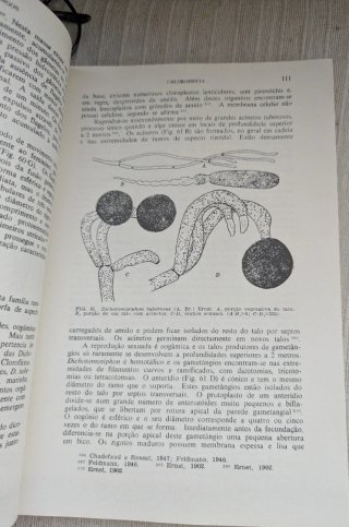 Livro Botânica Criptogâmica -Algas e fungos