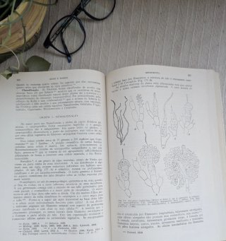Livro Botânica Criptogâmica -Algas e fungos