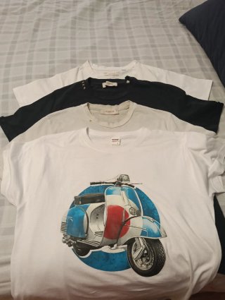 Lote 4 Camisetas Manga Corta Chico