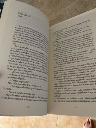 El Caso Salgueiro / the Salgueiro Case