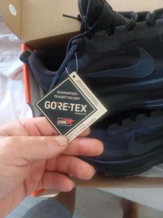 Zapatillas Nike Vomero 18 GTX Negras