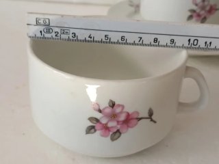 Servizio tazze porcellana Richard Ginoli fior di p