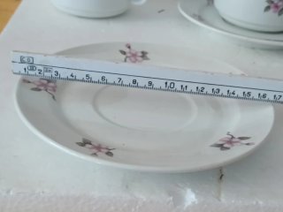 Servizio tazze porcellana Richard Ginoli fior di p