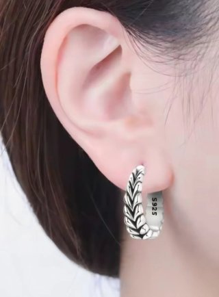Pendientes aro de plata