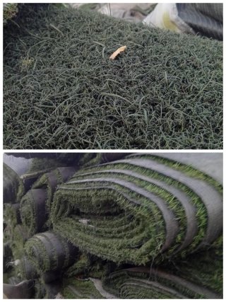 Venta césped artificial