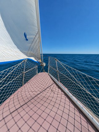 Velero Daimio - Motor a revisar
