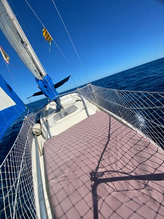 Velero Daimio - Motor a revisar