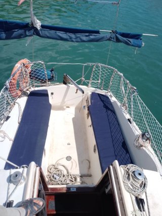 Velero Daimio - Motor a revisar