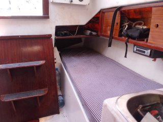 Velero Daimio - Motor a revisar