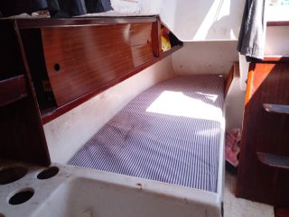 Velero Daimio - Motor a revisar