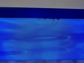 Loewe bild 3.55 OLED TV 4K