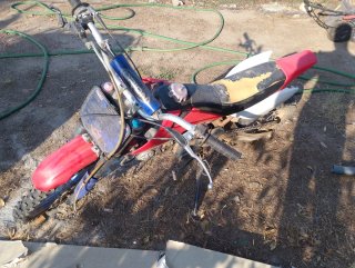Pit Bike Orion 140cc