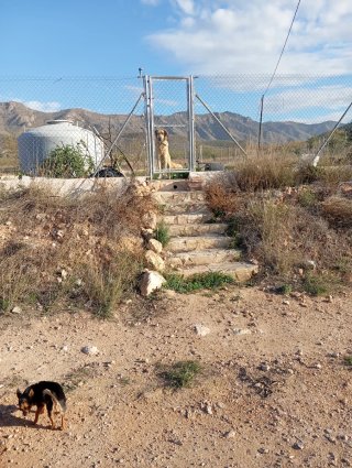 Terreno Urbano