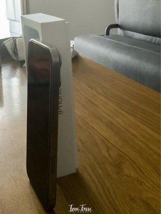 iPhone 16 Pro Max 256 GB Negro