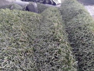 Césped artificial reciclado