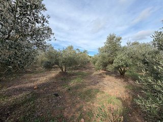 Terreno en venta en Nord en Roses