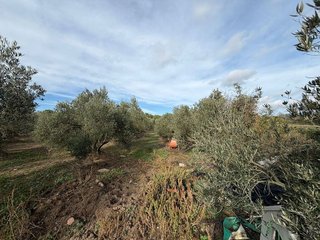Terreno en venta en Nord en Roses