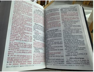 Biblia Letra Grande Reina Valera - Safeliz