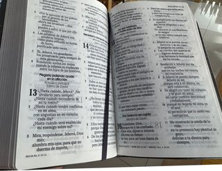 Biblia Letra Grande Reina Valera - Safeliz
