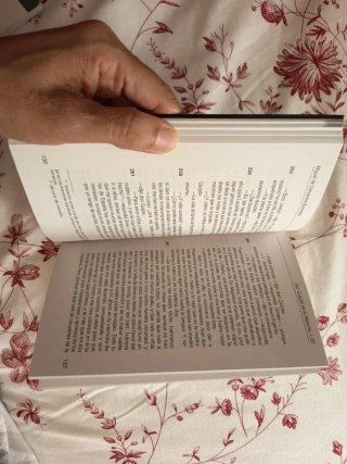 Don Quijote de la Mancha. Antología
